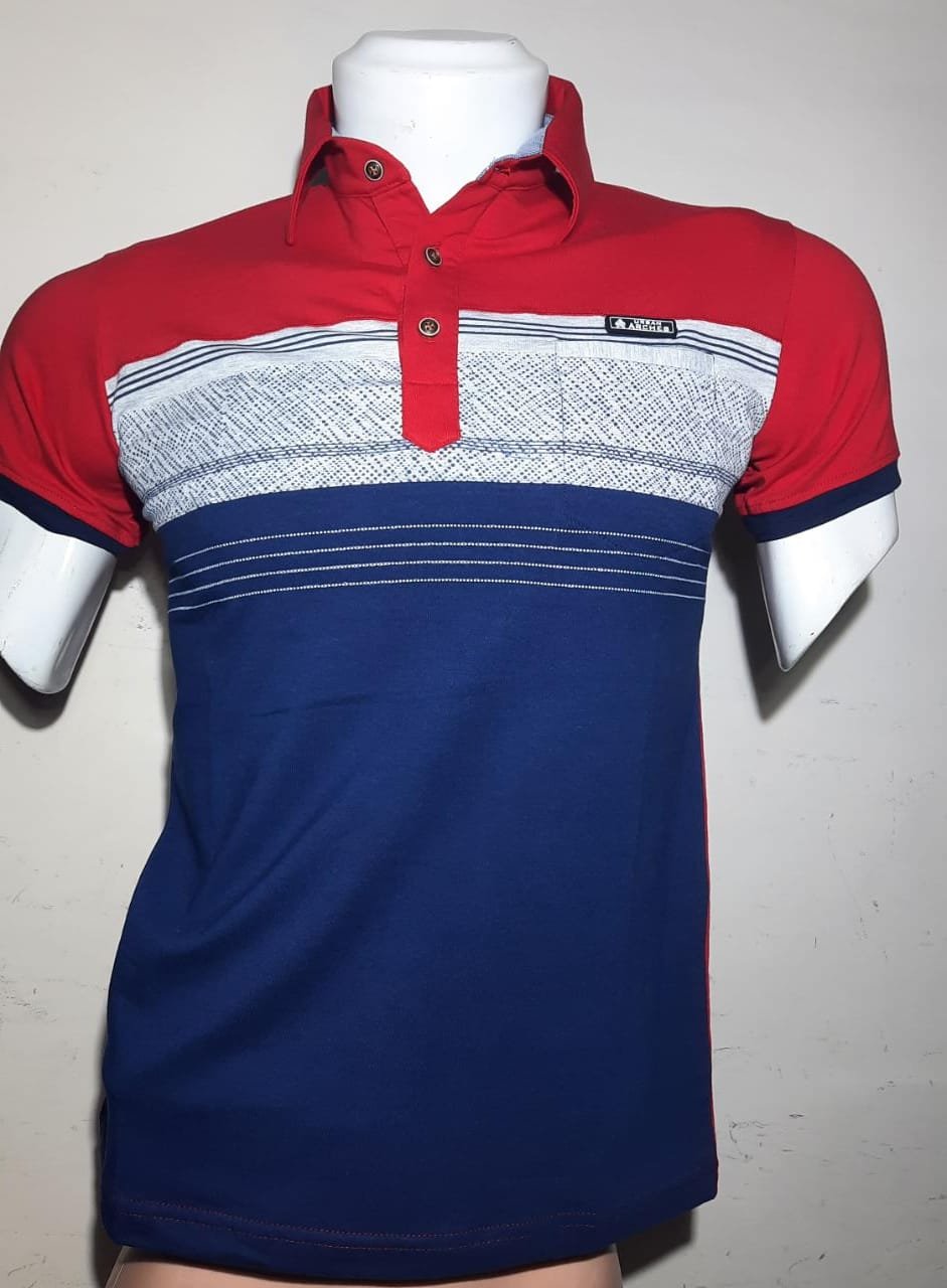 POLO CUELLO CAMISERO HOMBRE 2024 ARCHES